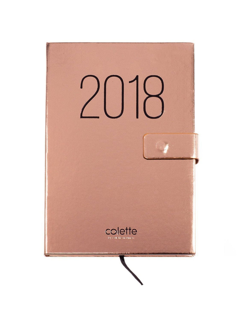 2018 Diary