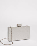 Silver Glitter Sally Hardcase Clutch Bag
