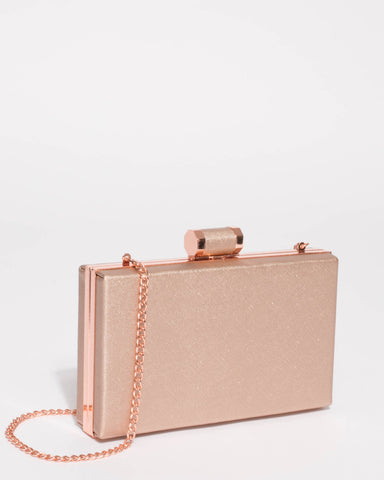 Sally Rose Gold Hardcase Clutch Bag