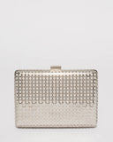 Silver Alana Hardcase Clutch Bag