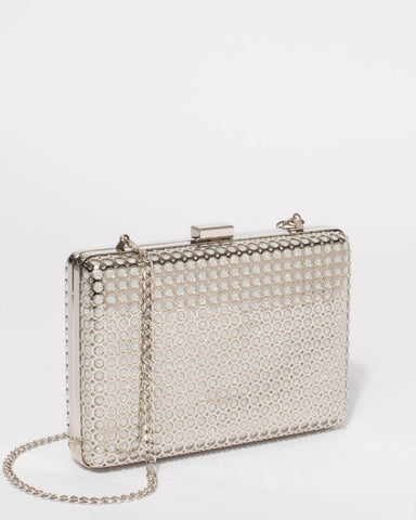Silver Alana Hardcase Clutch Bag