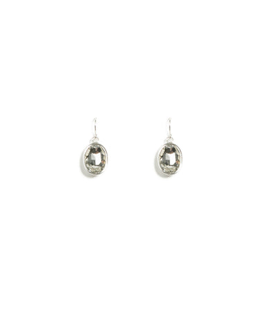 Silver Tone Stone Drop Earrings