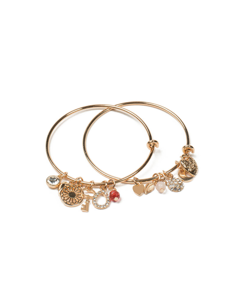 Multi Colour Gold Tone Multi Charm Bangle Set